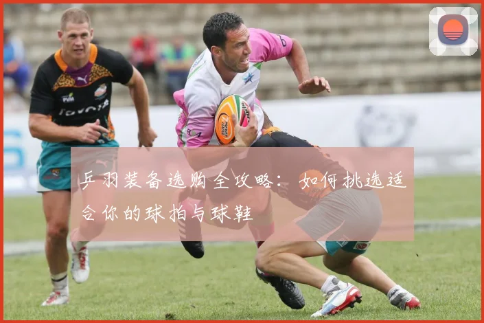 乒羽装备选购全攻略:如何挑选适合你的球拍与球鞋