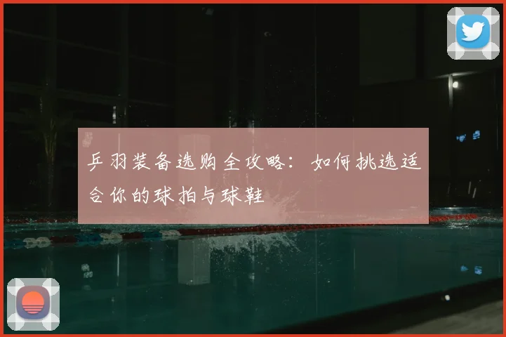 乒羽装备选购全攻略:如何挑选适合你的球拍与球鞋